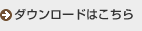 Adobe Flash Player 