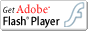 Adobe Flash Player 